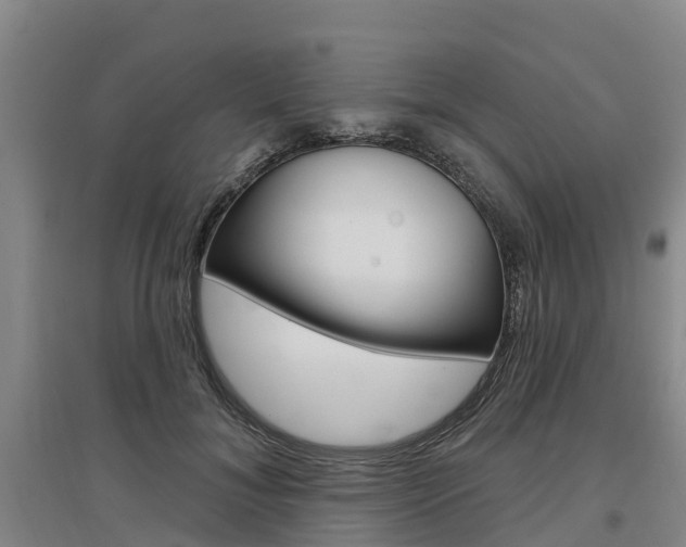 X0000097470700200802220829