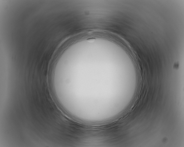 X0000097470701200802220829