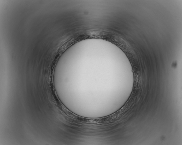 X0000097470702200802220829
