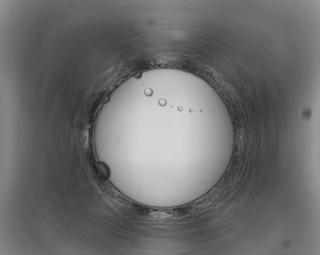 X0000097470703200802220829
