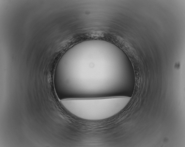 X0000097470704200802220829