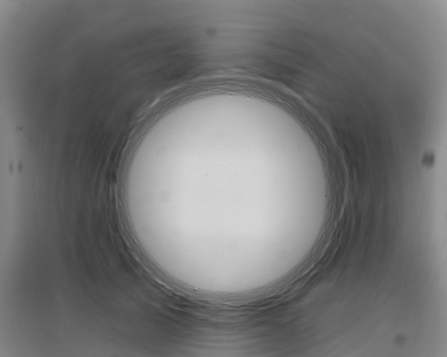 X0000097470705200802220829