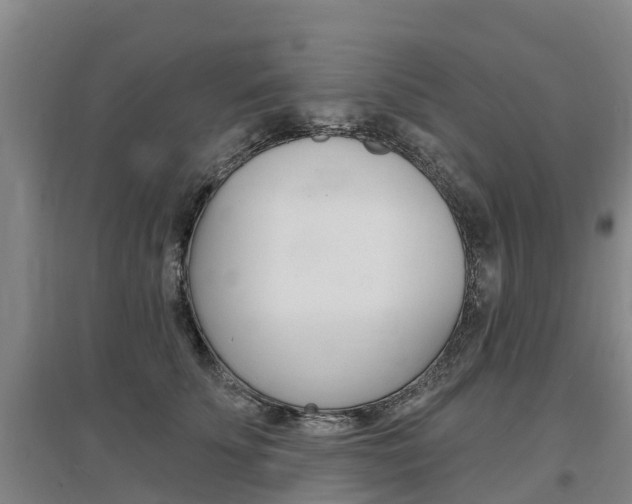 X0000097470707200802220829