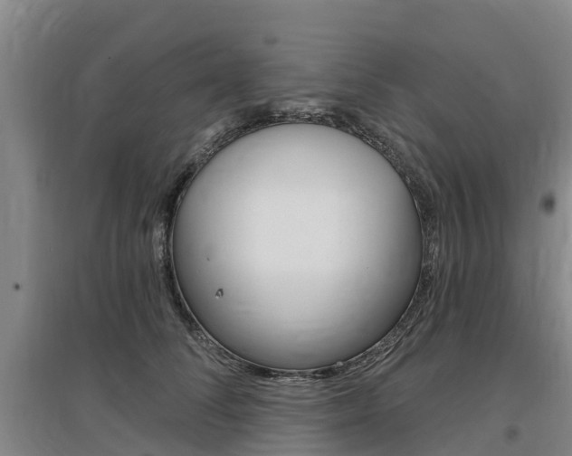 X0000097470708200802220829