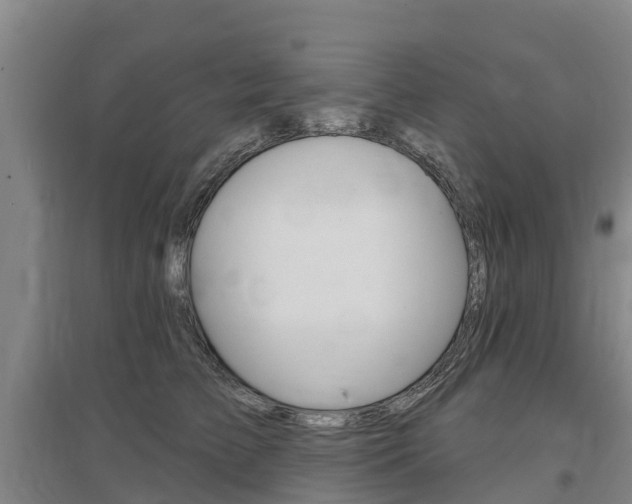 X0000097470709200802220829