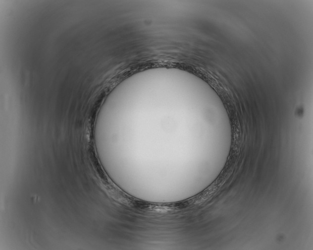X0000097470710200802220829