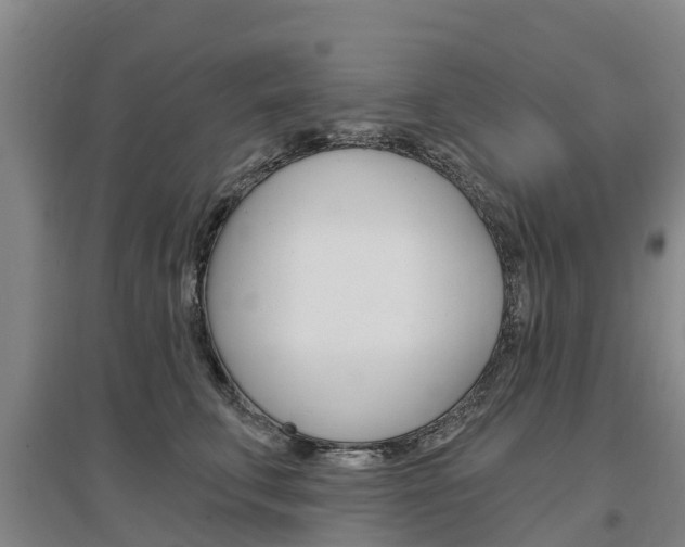 X0000097470711200802220829