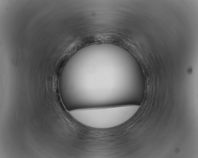 X0000097470712200802220829