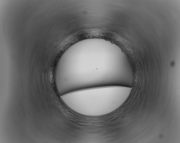 X0000097470715200802220829