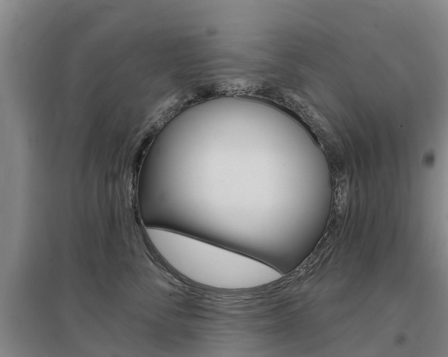 X0000097470716200802220829