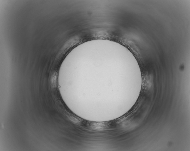 X0000097470717200802220829