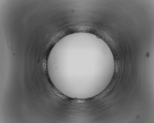 X0000097470718200802220829