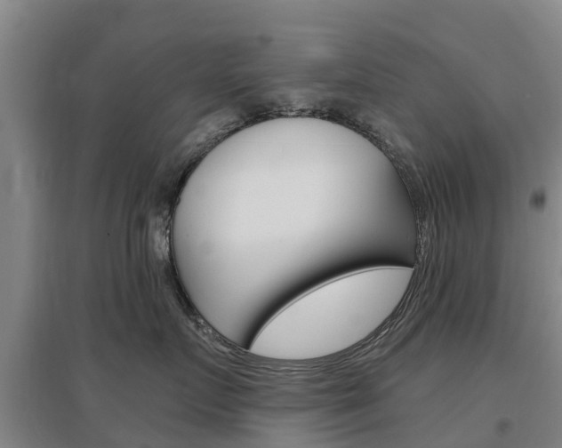 X0000097470719200802220829