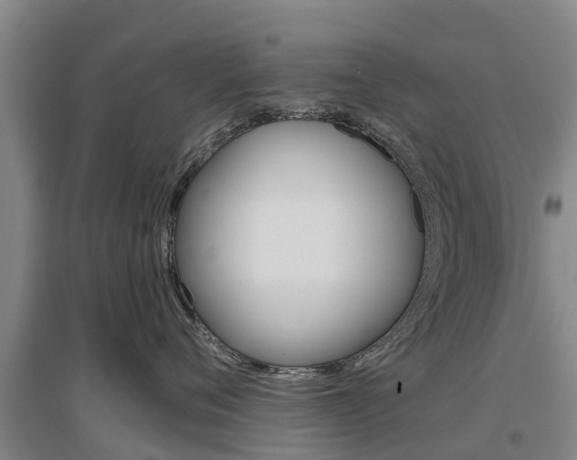 X0000097470720200802220829