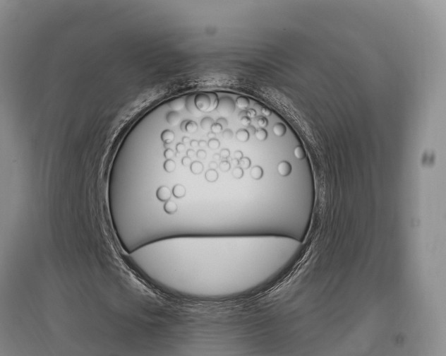 X0000097470721200802220828