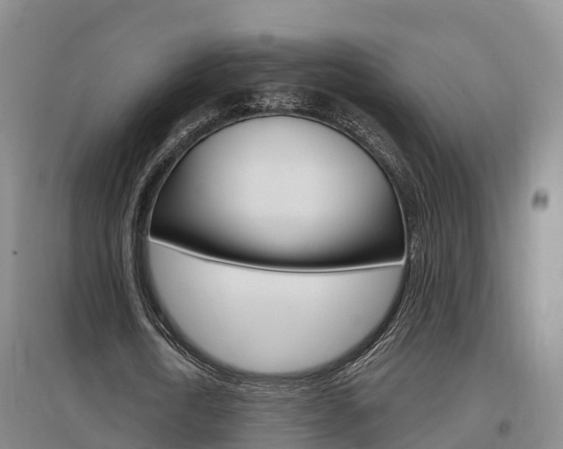 X0000097470722200802220828