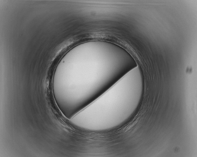 X0000097470723200802220828