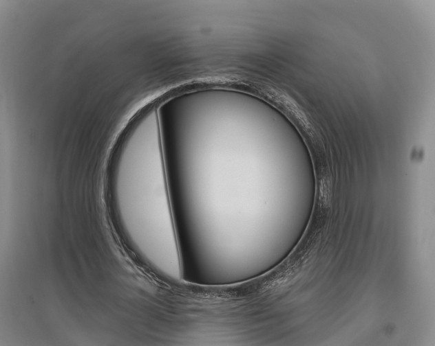 X0000097470724200802220828