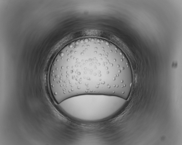 X0000097470725200802220828
