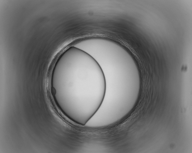 X0000097470726200802220828