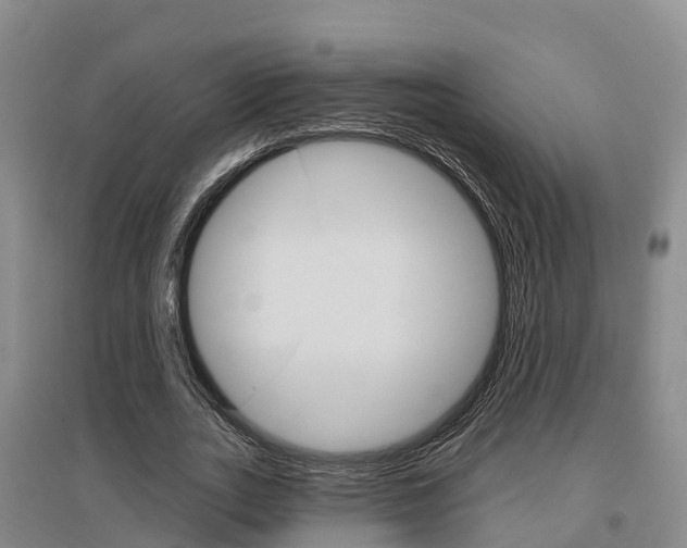 X0000097470727200802220828