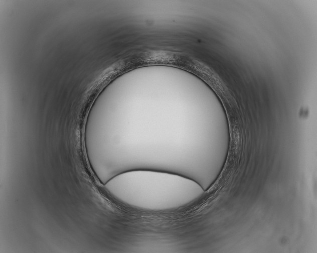 X0000097470729200802220828