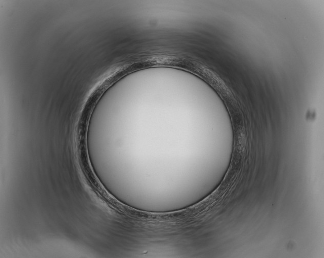 X0000097470730200802220828
