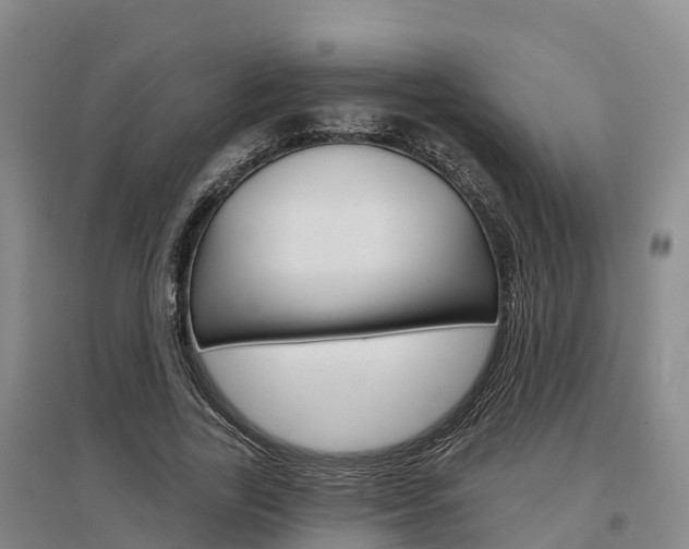 X0000097470731200802220828