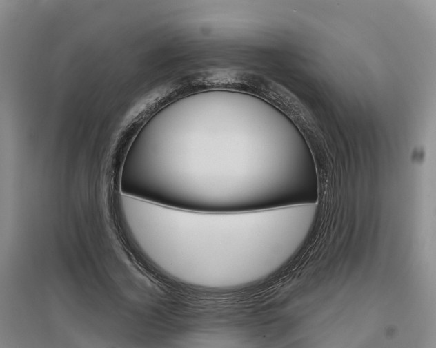 X0000097470732200802220828