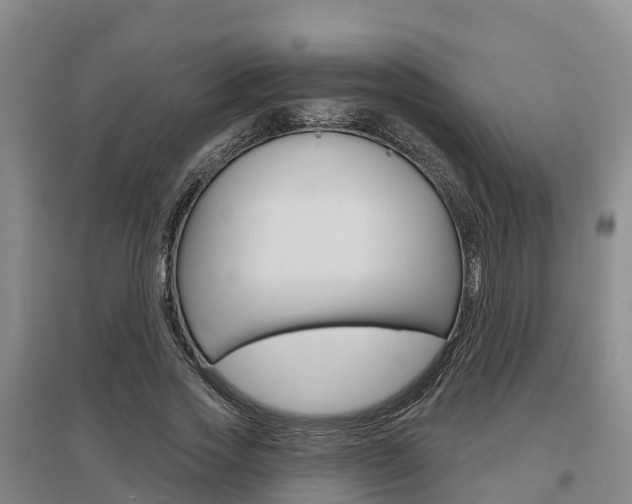 X0000097470733200802220828