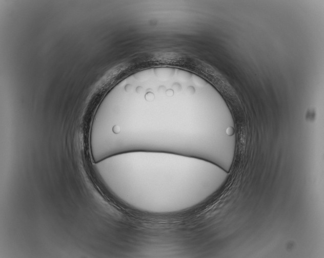 X0000097470734200802220828