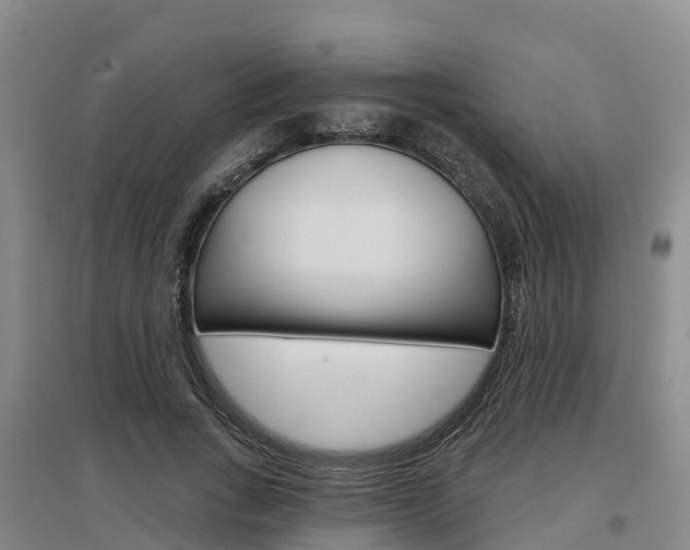X0000097470735200802220828