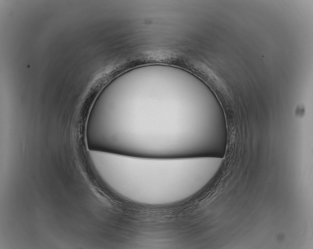 X0000097470736200802220828