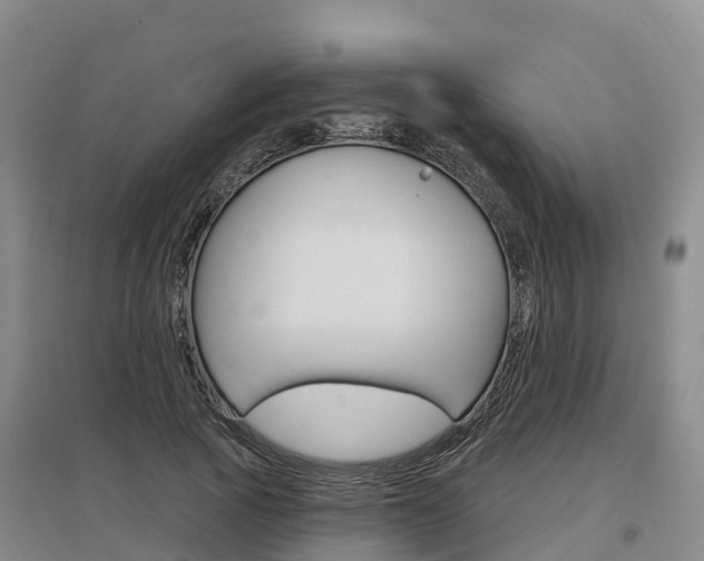 X0000097470737200802220828