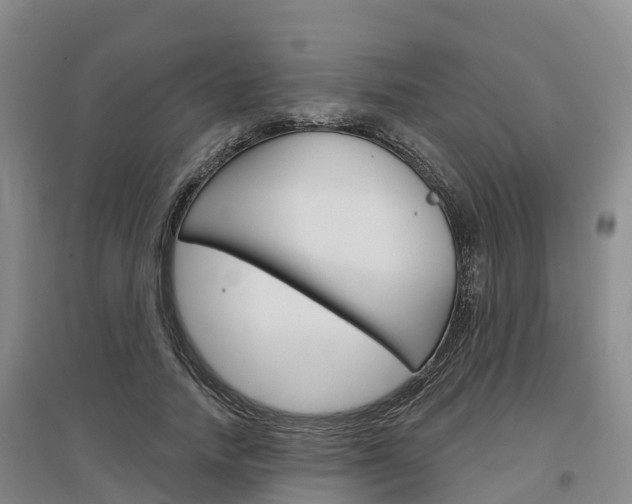 X0000097470738200802220828