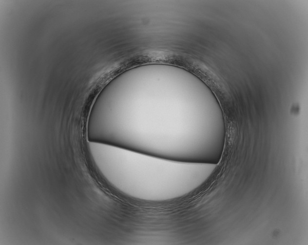 X0000097470740200802220829
