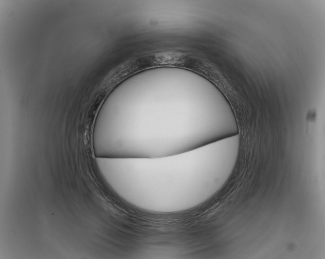 X0000097470741200802220829