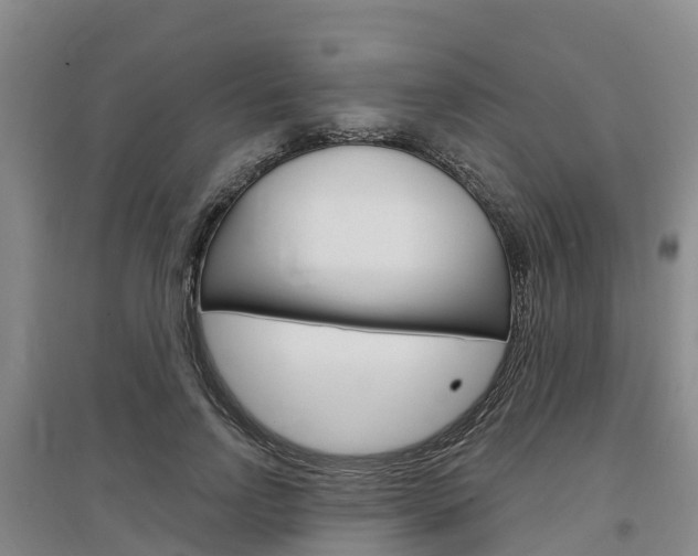 X0000097470742200802220829