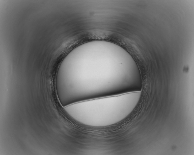 X0000097470743200802220829