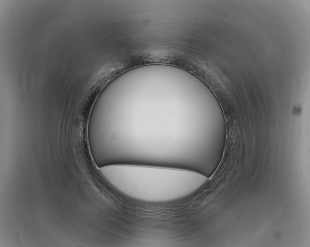 X0000097470744200802220829
