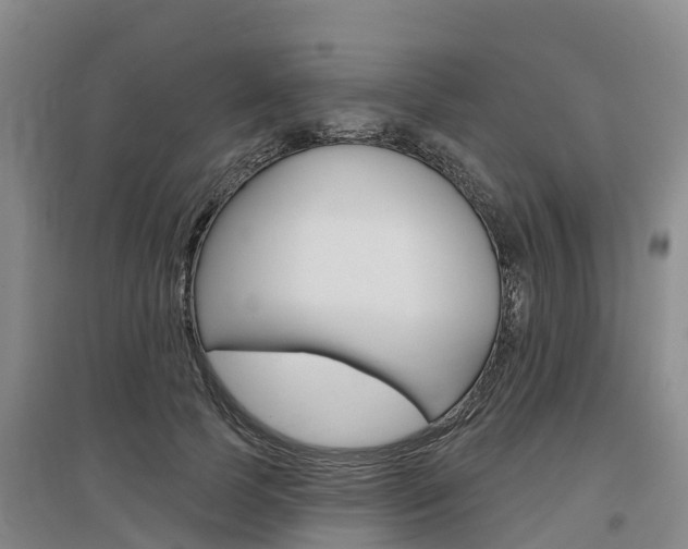 X0000097470745200802220829