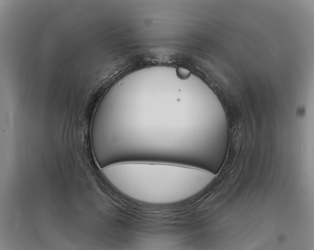 X0000097470747200802220829