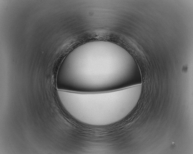 X0000097470748200802220829