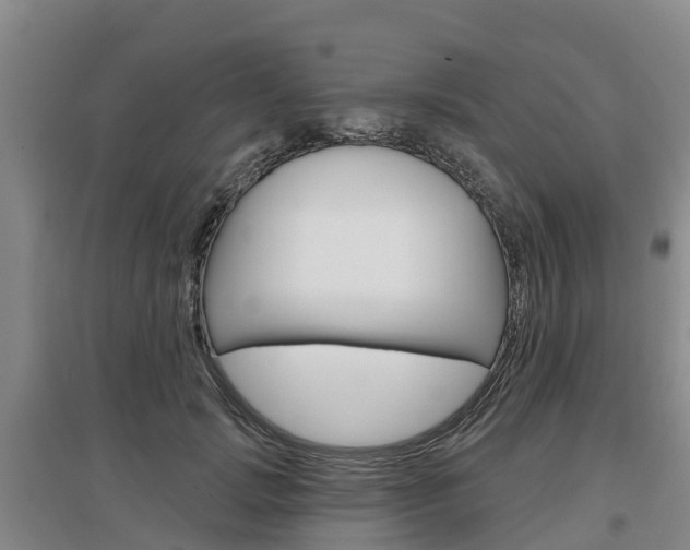 X0000097470749200802220829
