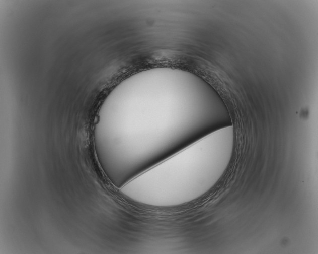 X0000097470751200802220829