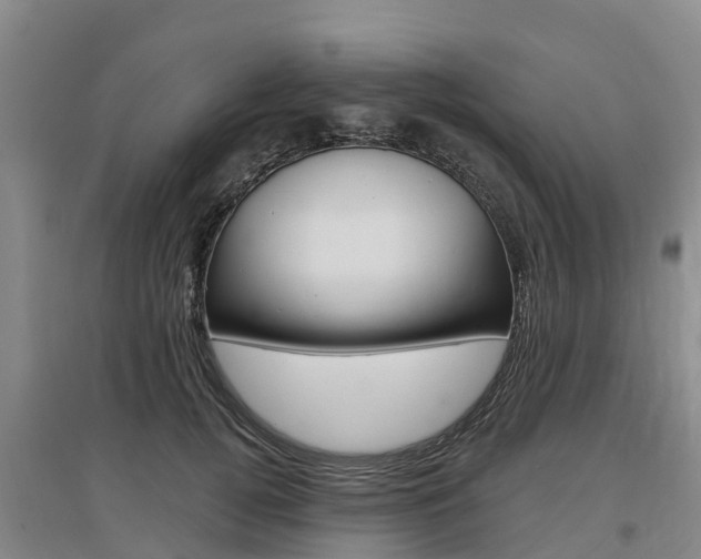 X0000097470752200802220829