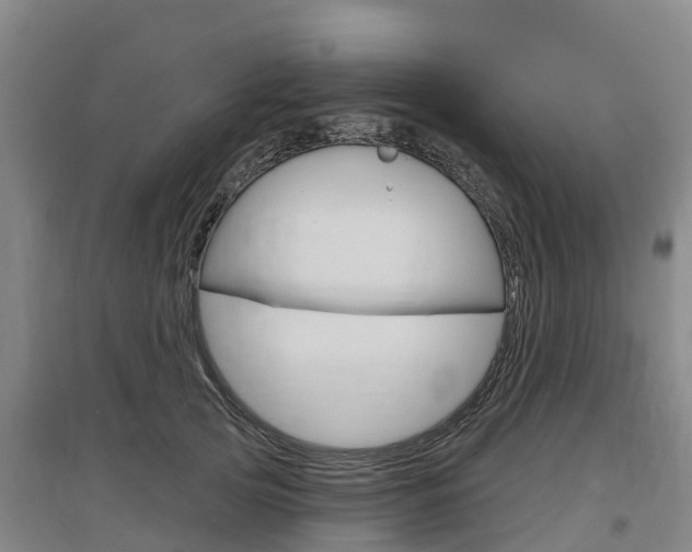 X0000097470753200802220829