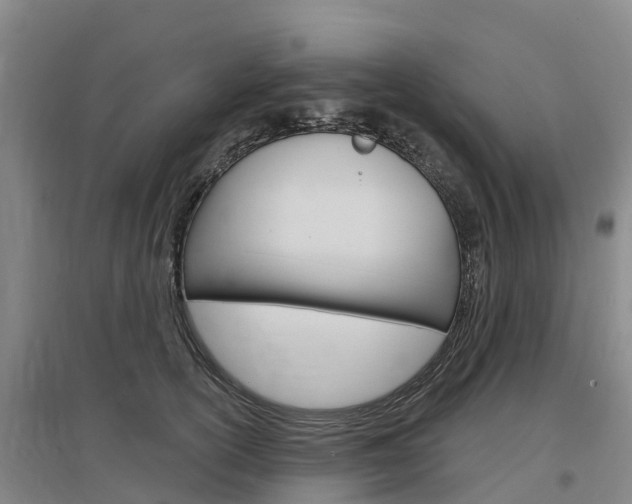 X0000097470754200802220829