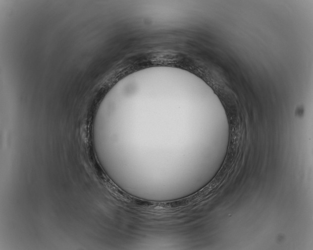 X0000097470755200802220829