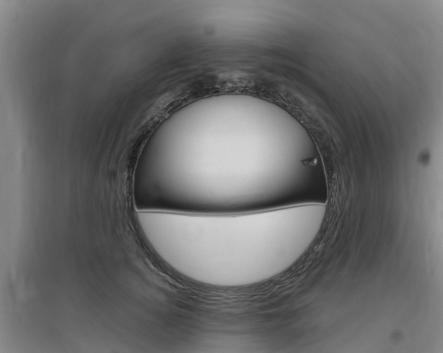 X0000097470756200802220829